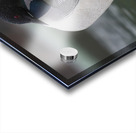 Common Loon Acrylic print