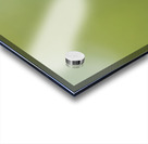 Male Calliope Hummingbird Impression Acrylique