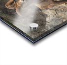 Bighorn Ram Acrylic print