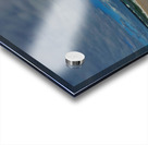 Tropical Shoreline Acrylic print