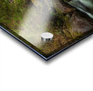 Forest Stream Acrylic print