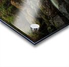 Forest Stream Acrylic print