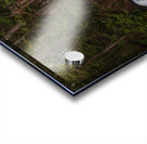 Forest Waterfall Acrylic print