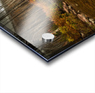 Mountain Stream Acrylic print