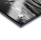 Old Fences Acrylic print