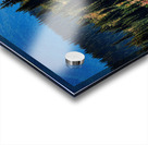 Mountain Wild Flowers Impression Acrylique