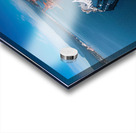 Vancouver Skyline Acrylic print