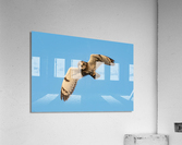 Short-eared Owl Acrylic Print