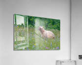 Black Bear Acrylic Print