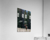 Bull Elk Acrylic Print