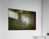 Mountain Goat Acrylic Print