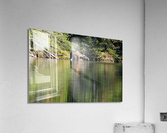 Cow Moose Acrylic Print