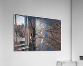 Canadian Geese Acrylic Print