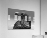 Raven Acrylic Print