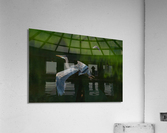 Great Blue Heron Acrylic Print