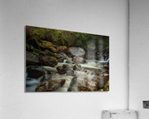 Forest Stream Acrylic Print