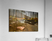 Mountain Stream Acrylic Print