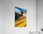 Mountain Wild Flowers Impression acrylique