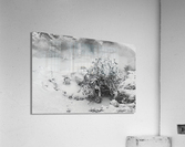 Thermal Mud Eruption Acrylic Print