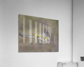 Northern Pygmy Owl Acrylic Print