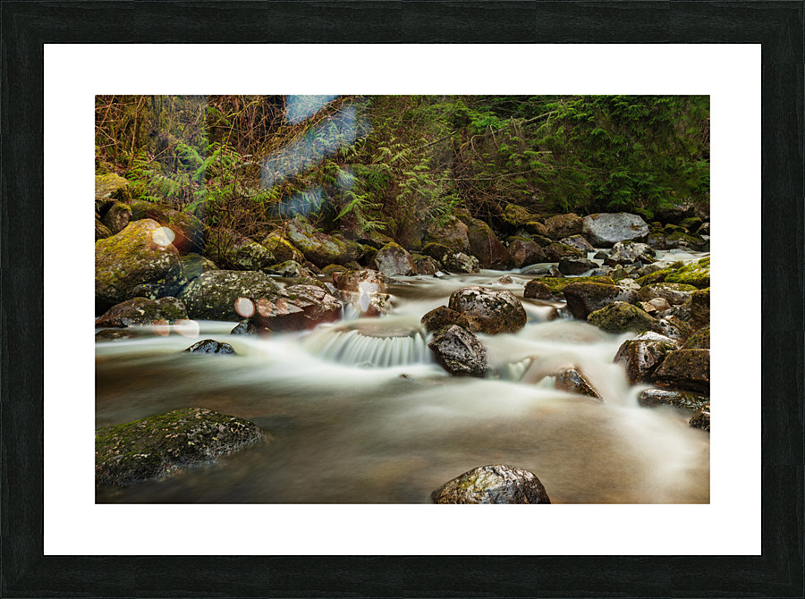 Forest Stream Picture Frame print