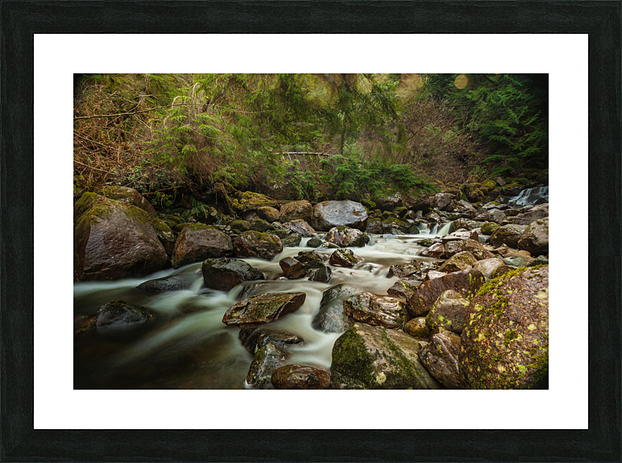 Forest Stream Picture Frame print