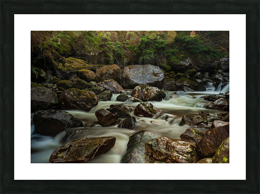 Forest Stream Picture Frame print