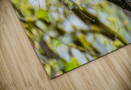 Barred Owl Randy Tremblay Photography puzzle