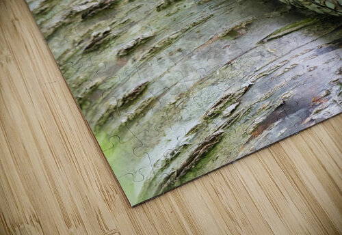 Western Screech Owl Randy Tremblay Photography puzzle