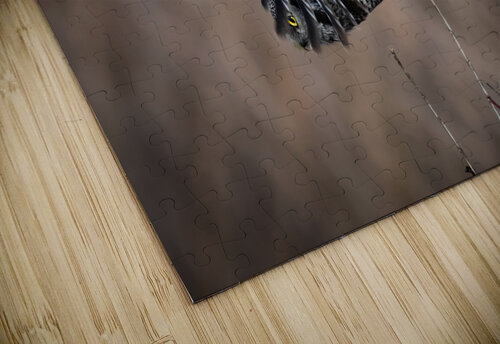 Northern Hawk Owl Randy Tremblay Photography puzzle