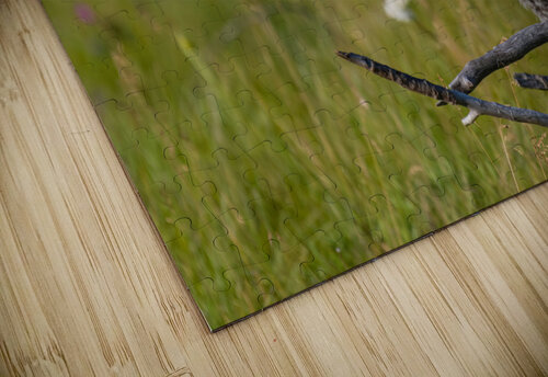 Great Gray Owl Randy Tremblay Photography puzzle