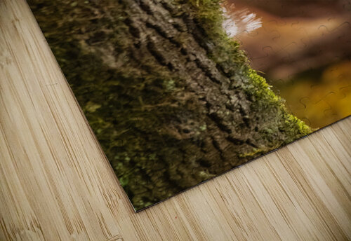 Barred Owlet Randy Tremblay Photography puzzle