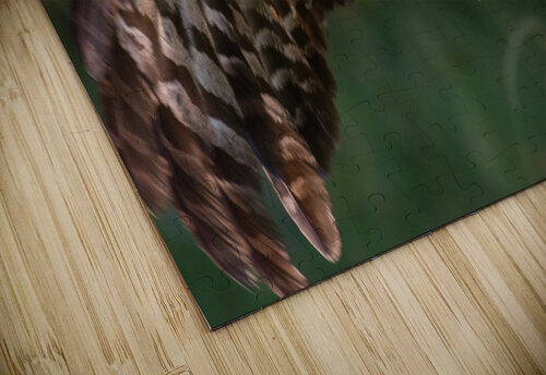 Great Gray Owl Randy Tremblay Photography puzzle