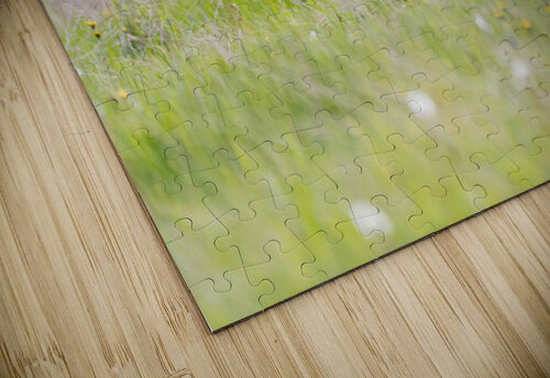 Grizzly Boar Randy Tremblay Photography puzzle