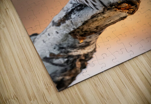 Northern Pygmy Owl Randy Tremblay Photography puzzle