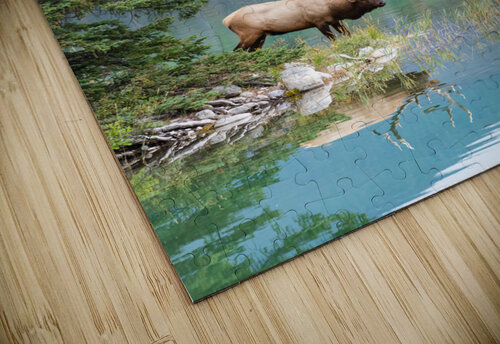 Bull Elk Randy Tremblay Photography puzzle
