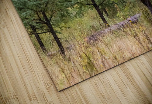 Bull Elk Randy Tremblay Photography puzzle