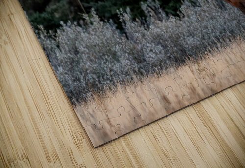 Bull Elk Randy Tremblay Photography puzzle