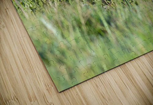 Red Fox Kits Randy Tremblay Photography puzzle