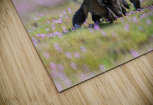 Red Fox with Kits Randy Tremblay Photography puzzle