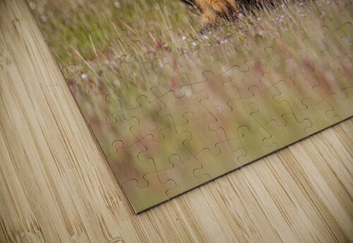 Red Fox Kits Randy Tremblay Photography puzzle