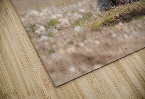 Red Fox with Kit Randy Tremblay Photography puzzle