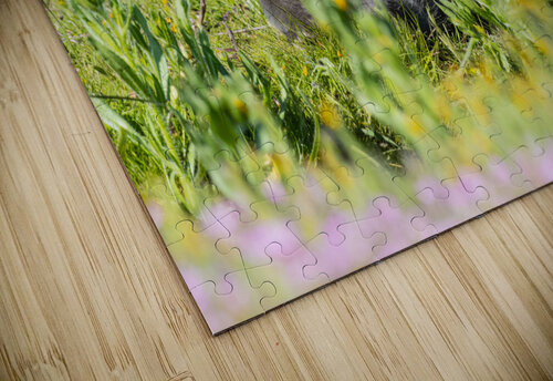 Red Fox Kit Randy Tremblay Photography puzzle