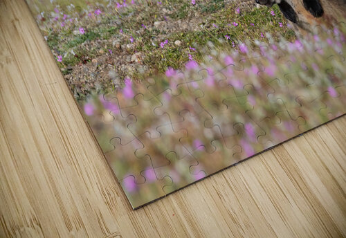 Red Fox Kits Randy Tremblay Photography puzzle