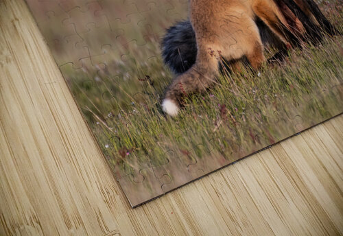 Red Fox with Kit Randy Tremblay Photography puzzle
