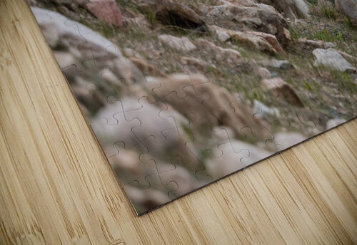 Mountain Goats Randy Tremblay Photography puzzle