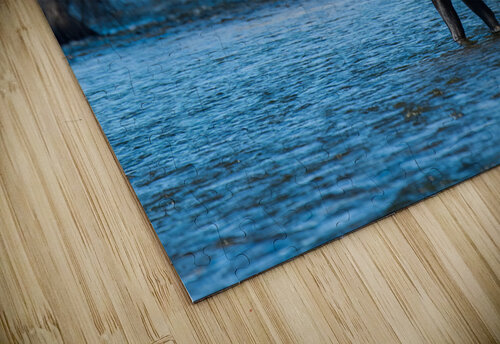 Bull Moose Randy Tremblay Photography puzzle