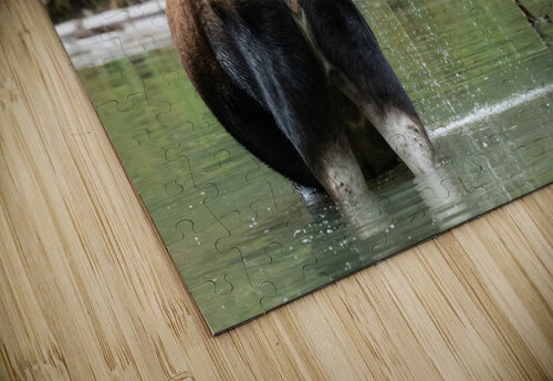 Cow Moose Randy Tremblay Photography puzzle