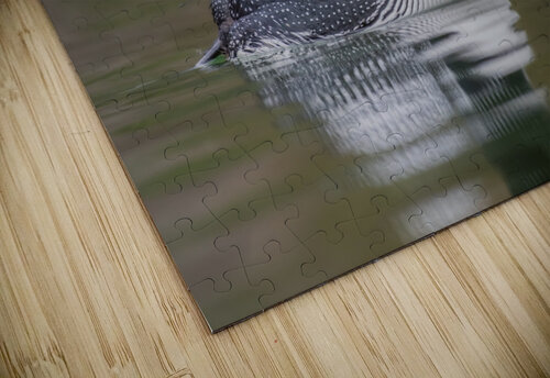 Common Loon Randy Tremblay Photography puzzle