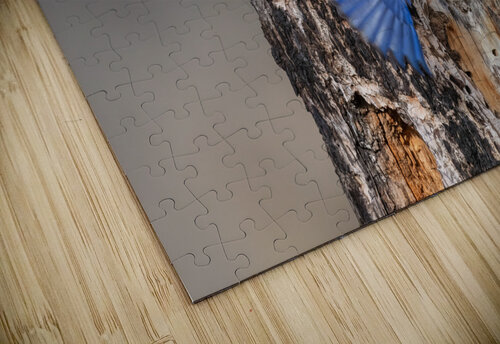 Western Bluebirds Randy Tremblay Photography puzzle